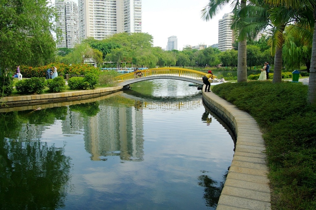 IMGP2660 (复制) (复制).JPG