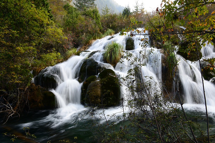 DSC_1953.JPG