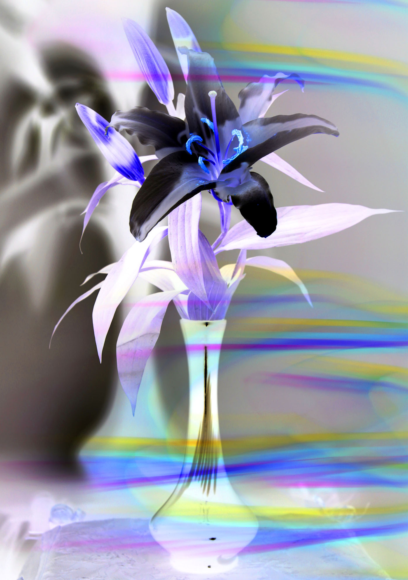 复件 _MG_8831副本.jpg