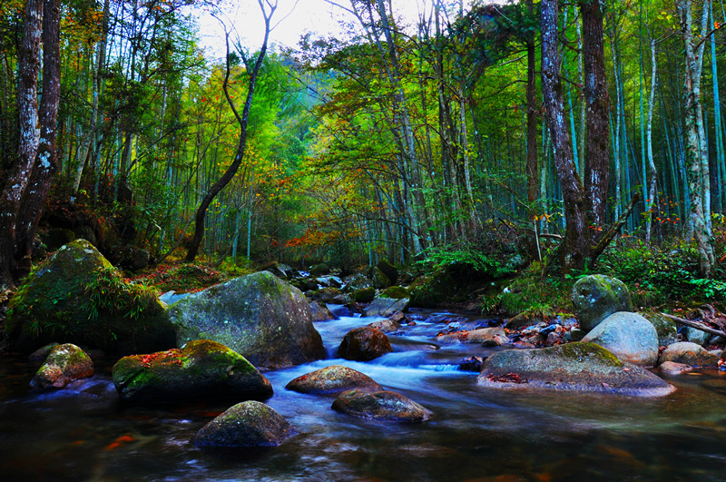 DSC_0286_副本.jpg