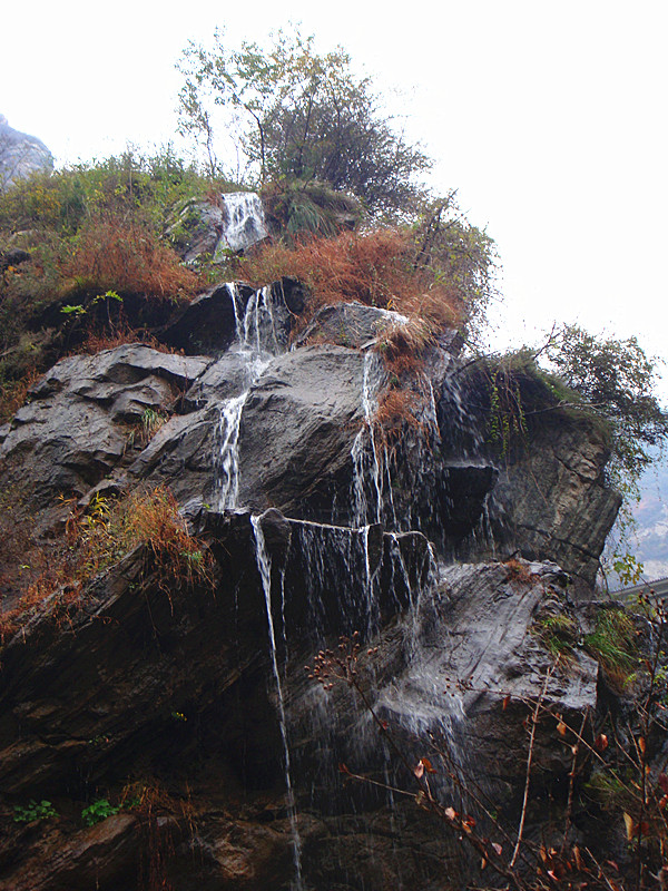 DSC01019_副本.jpg