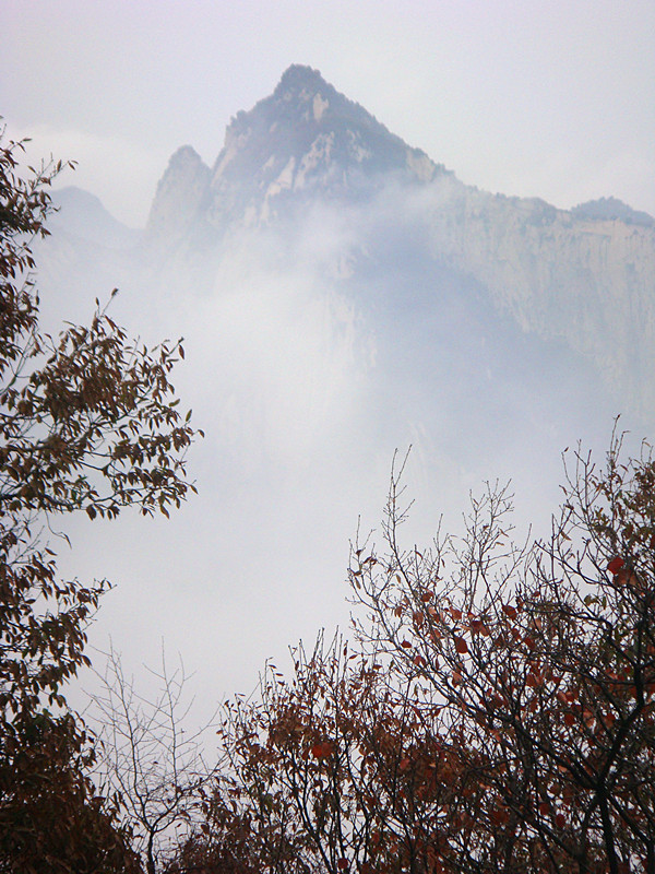 DSC01061_副本.jpg