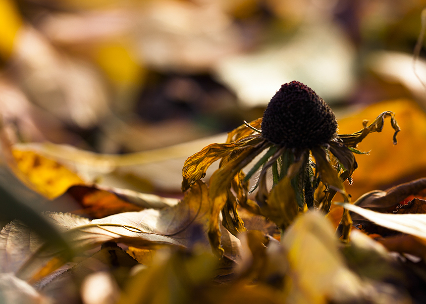 20131114_0194.jpg