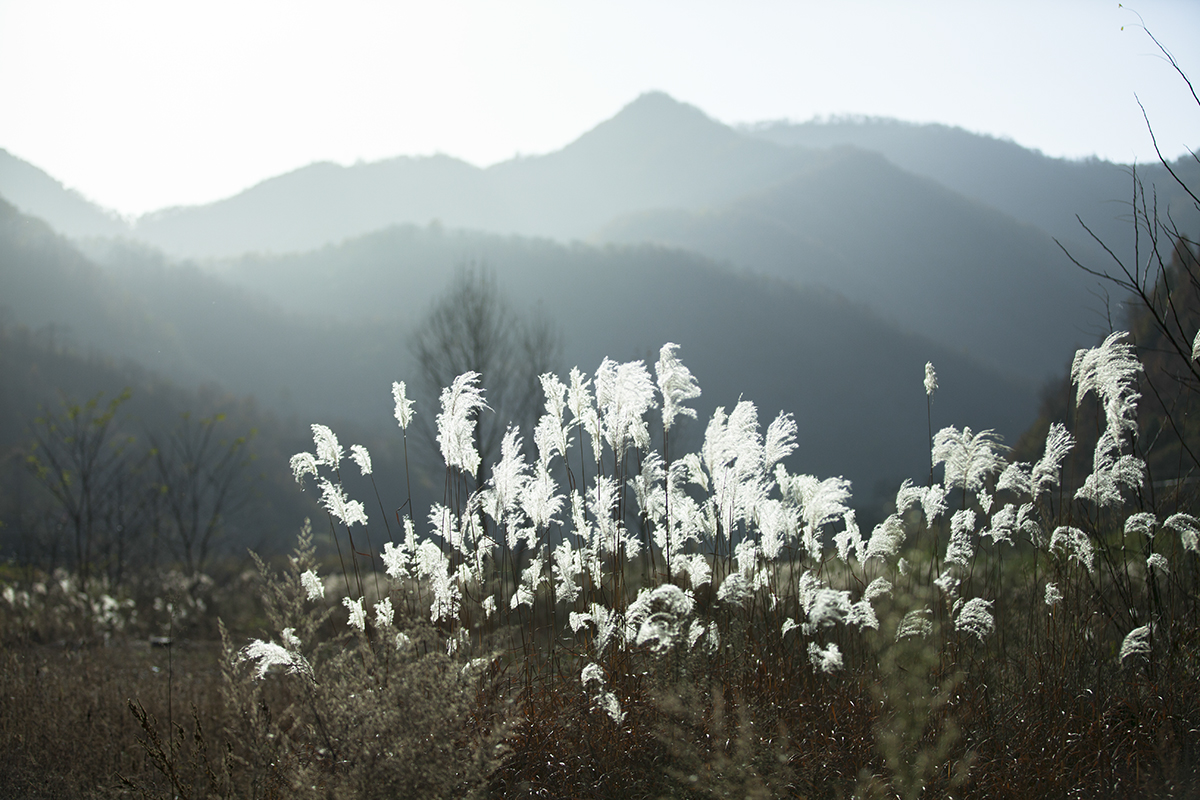 20131116_0417.jpg