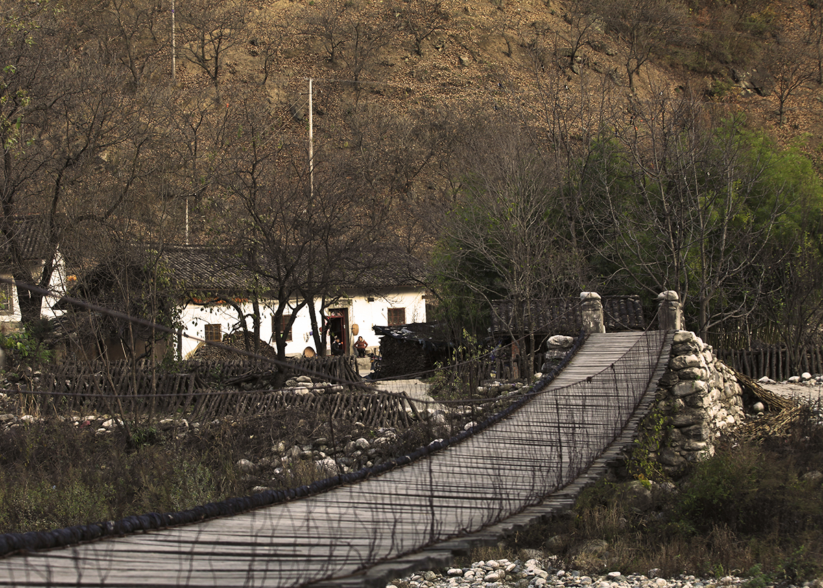 20131116_0494.jpg