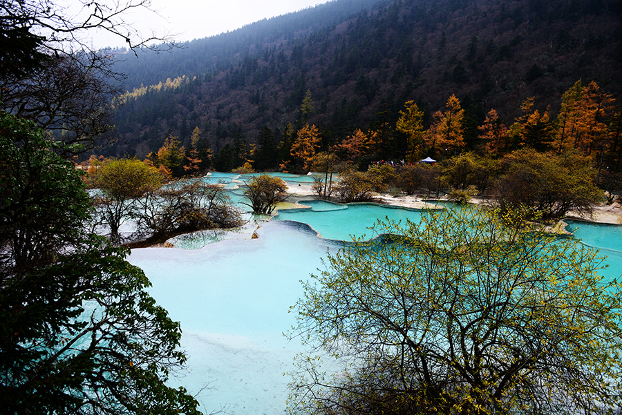 DSC_2723.JPG