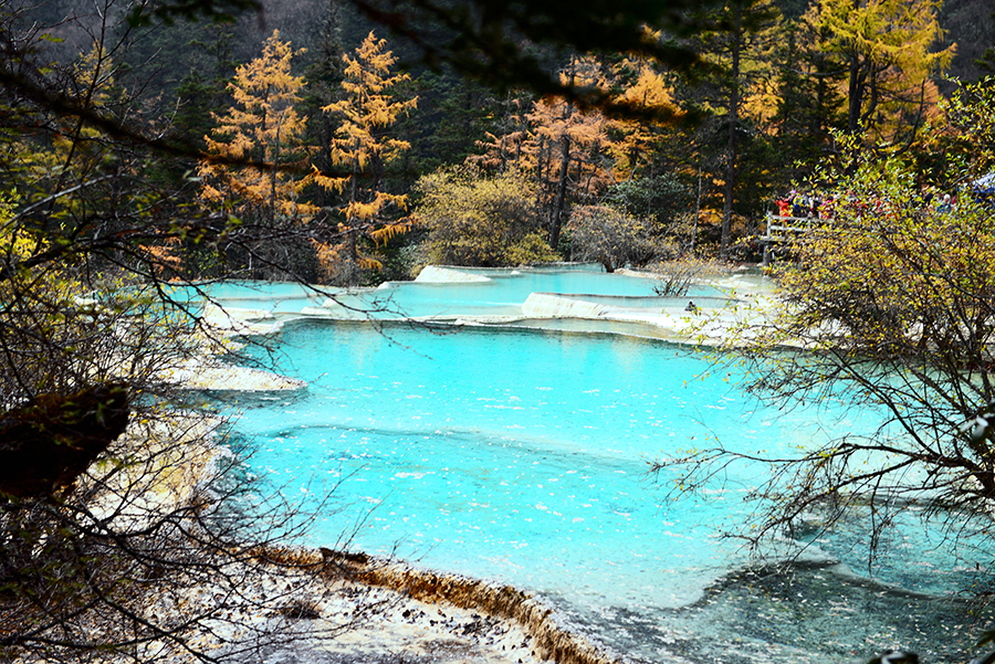 DSC_2750.JPG