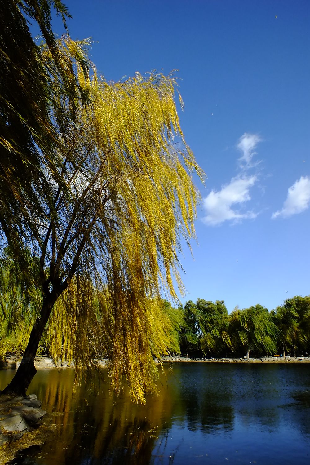 DSCF0928_副本 - 副本.jpg