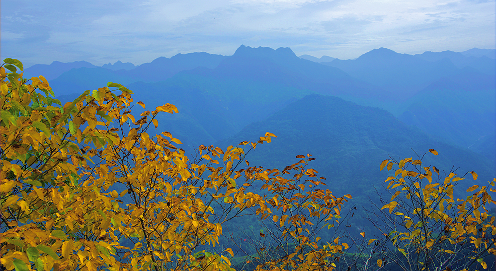 复件 _DSC5079_副本.jpg