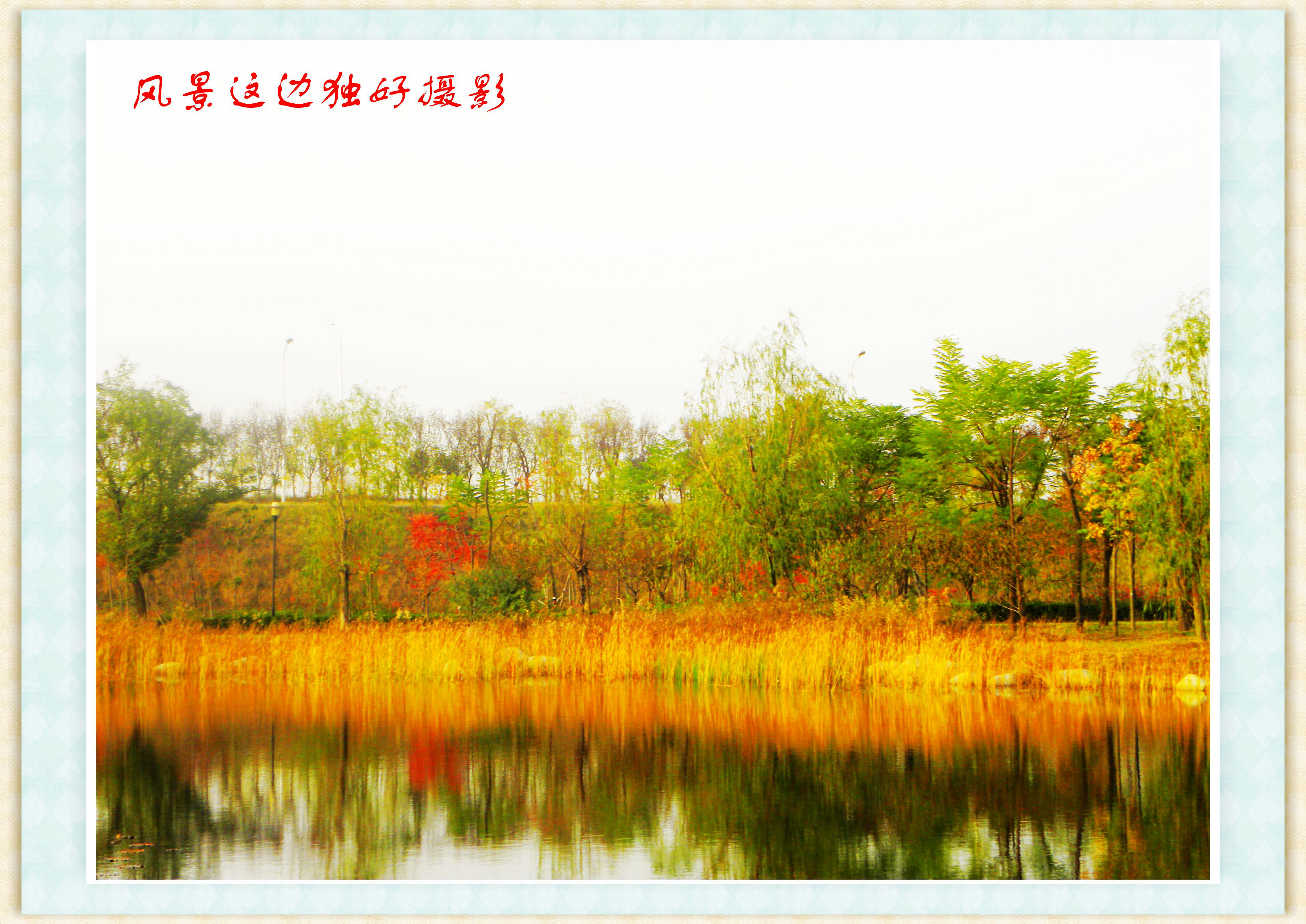 DSCN0047.JPG