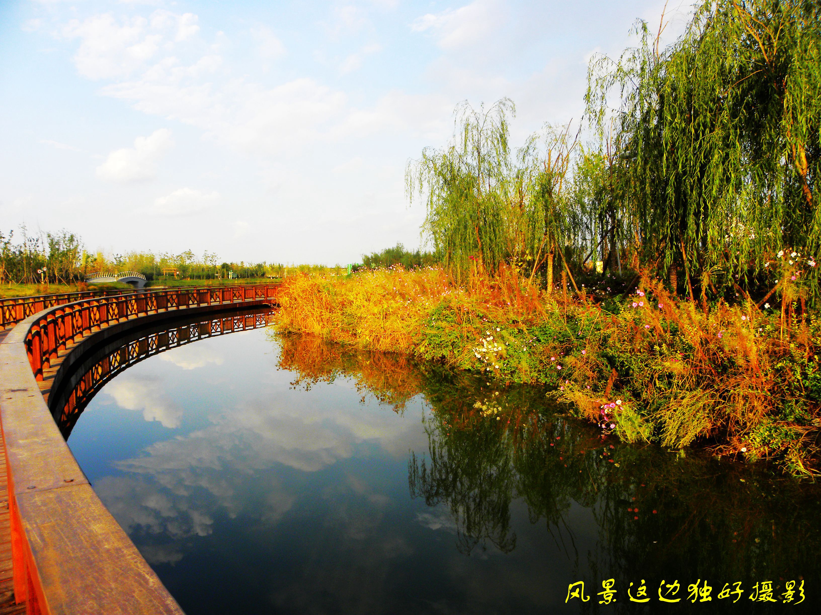 DSCN7654.JPG