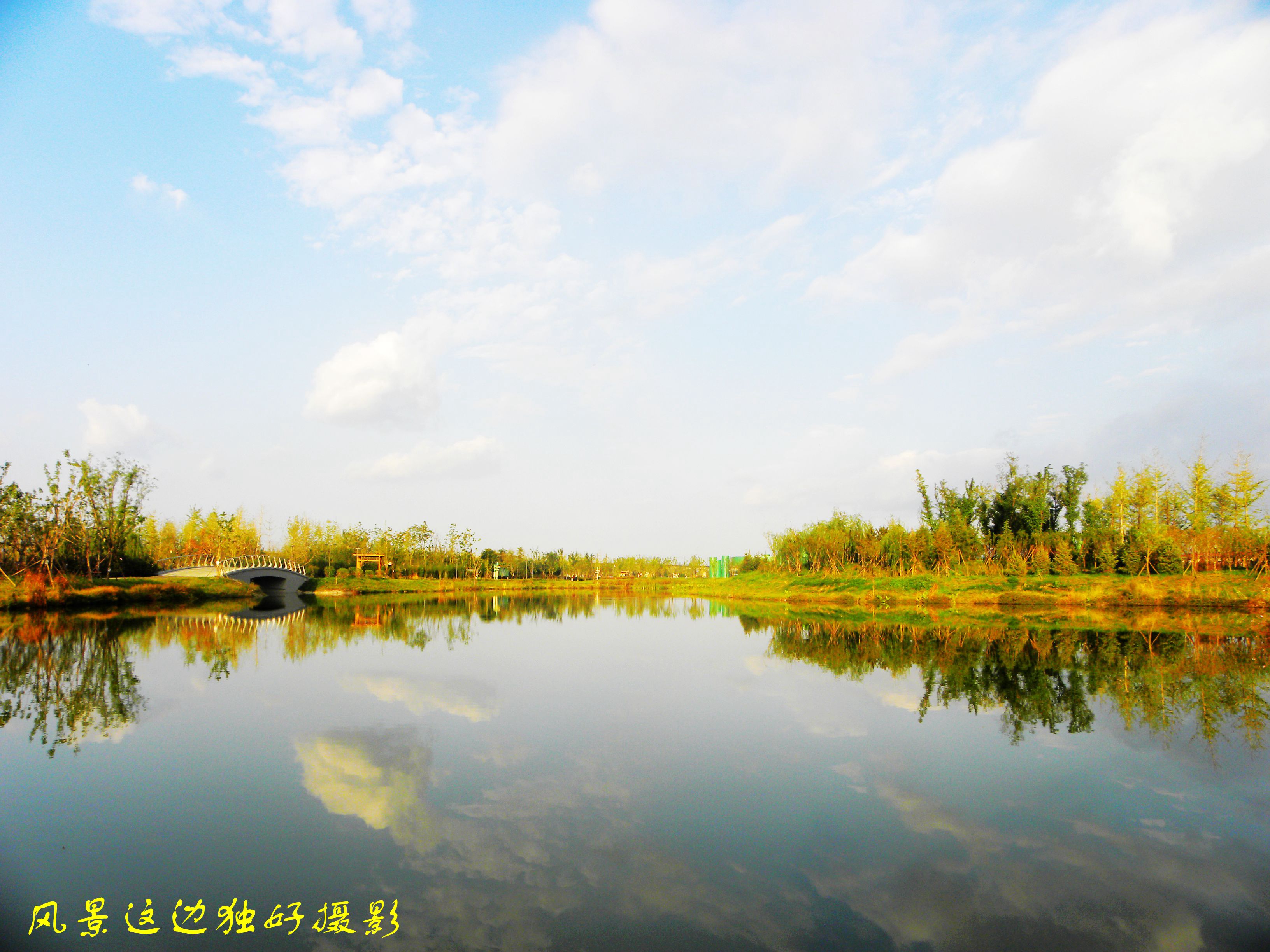 DSCN7665.JPG