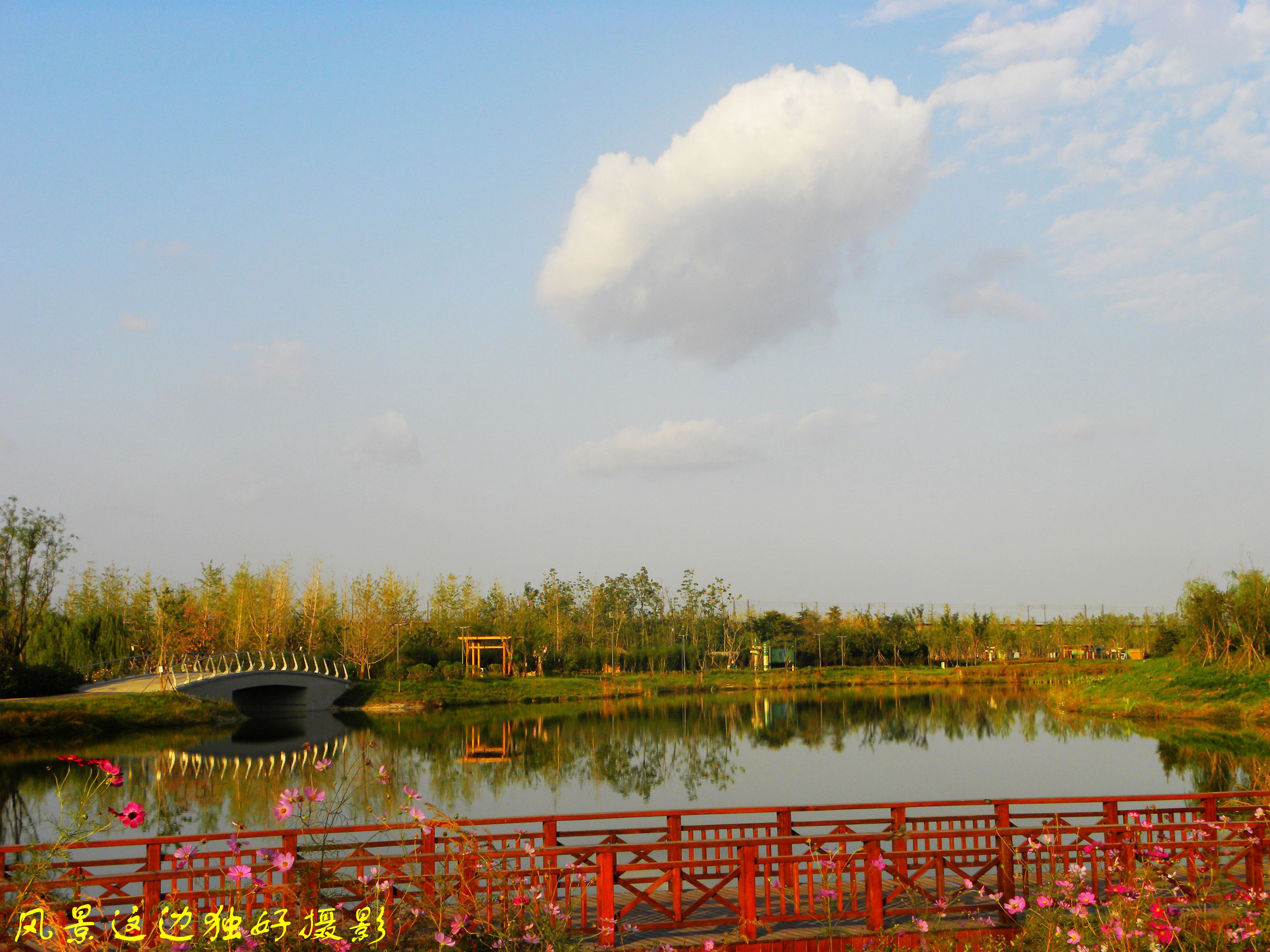 DSCN7669.JPG