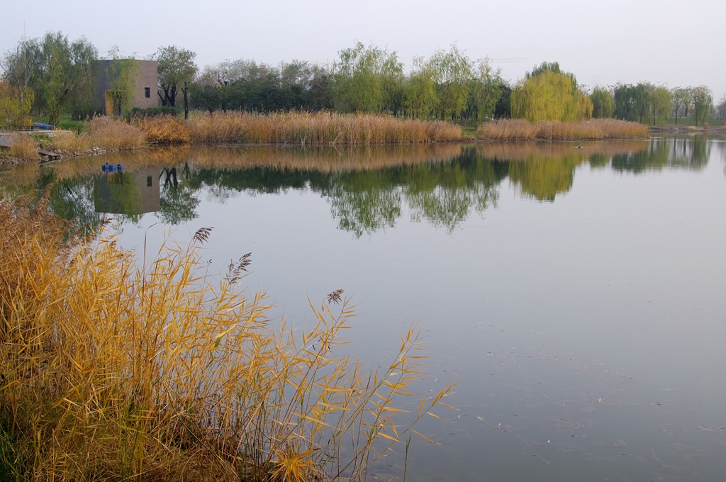 IMGP4504 (复制).jpg