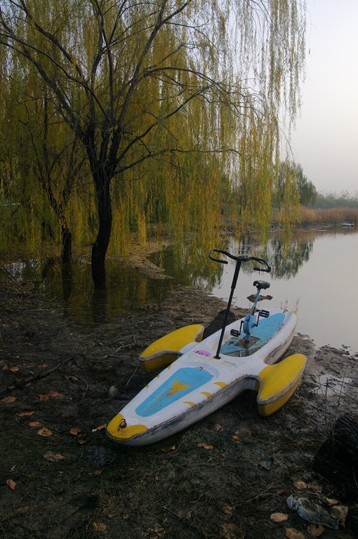 IMGP4508 (复制).jpg