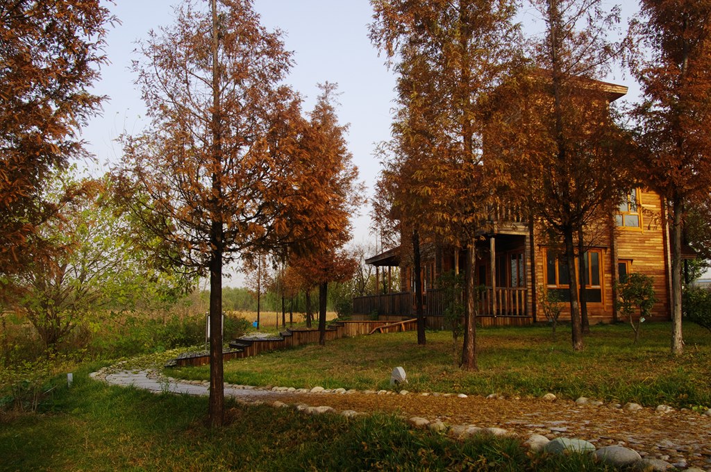 IMGP4548 (复制).jpg