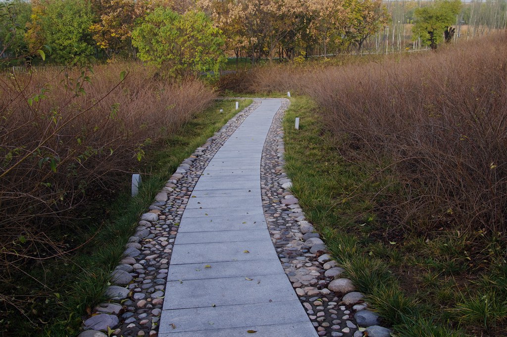 IMGP4549 (复制).jpg