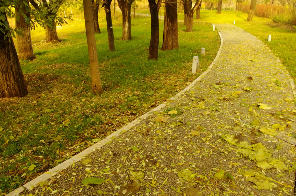 IMGP4554 (复制).jpg