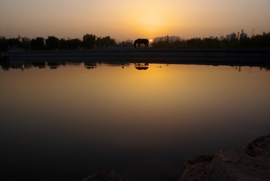 IMGP0674 (复制).jpg