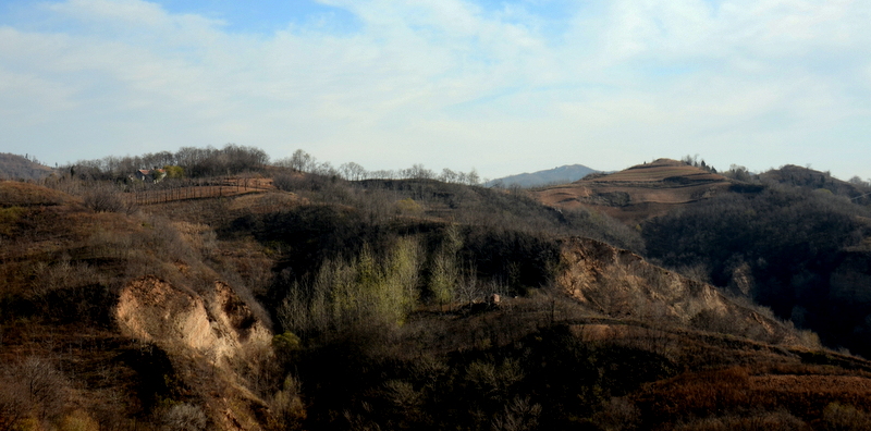 DSC_4224.JPG