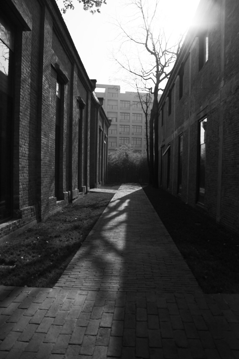 国企之殇 (4).jpg