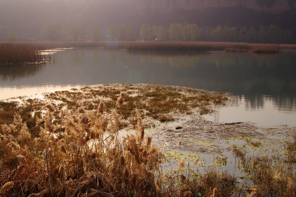 IMGP5959 (复制).jpg