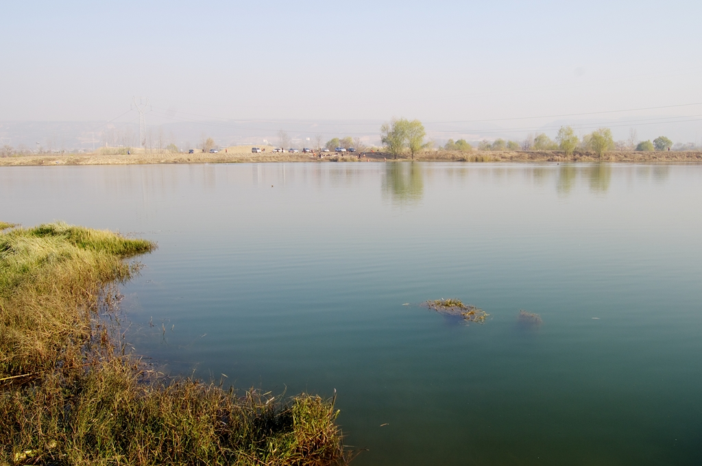 IMGP5922 (复制).jpg