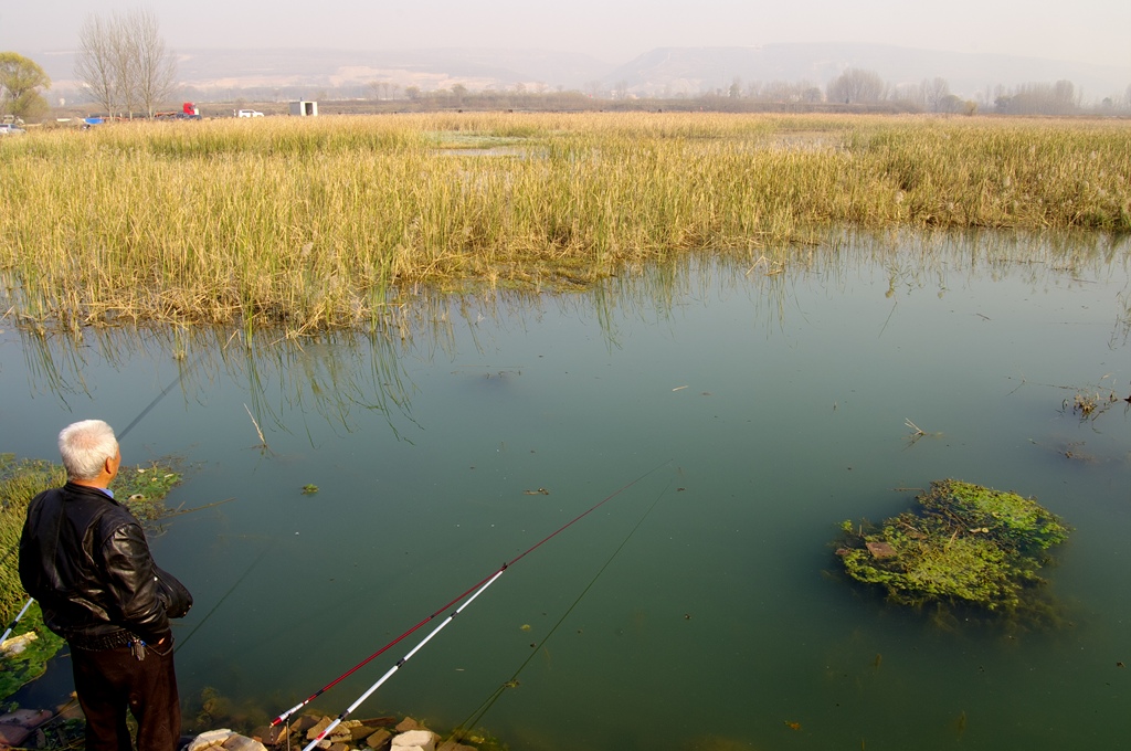 IMGP5946 (复制).jpg