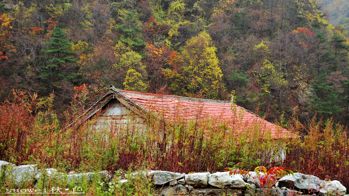秋色 (10).jpg