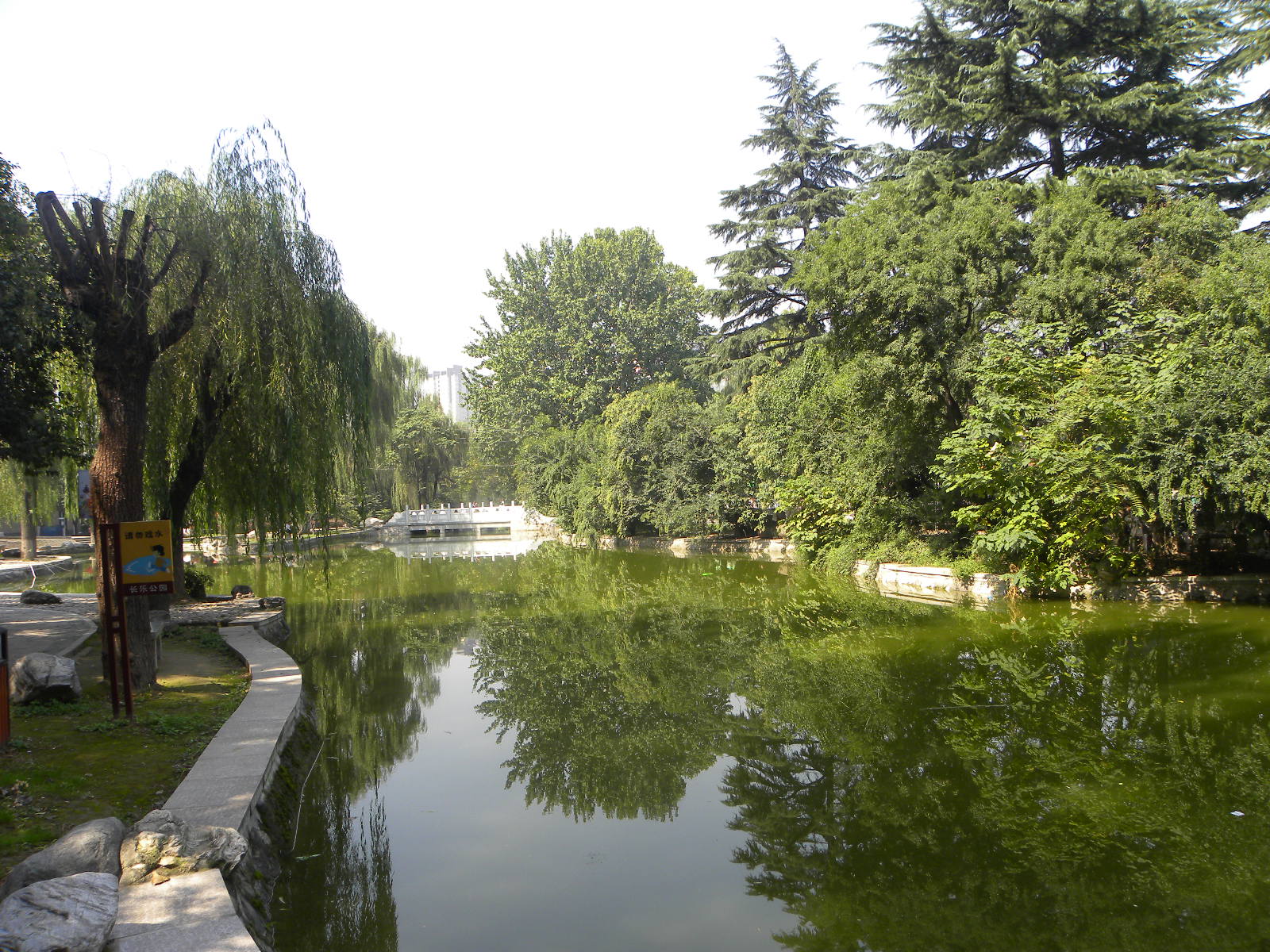 DSCN5911.JPG