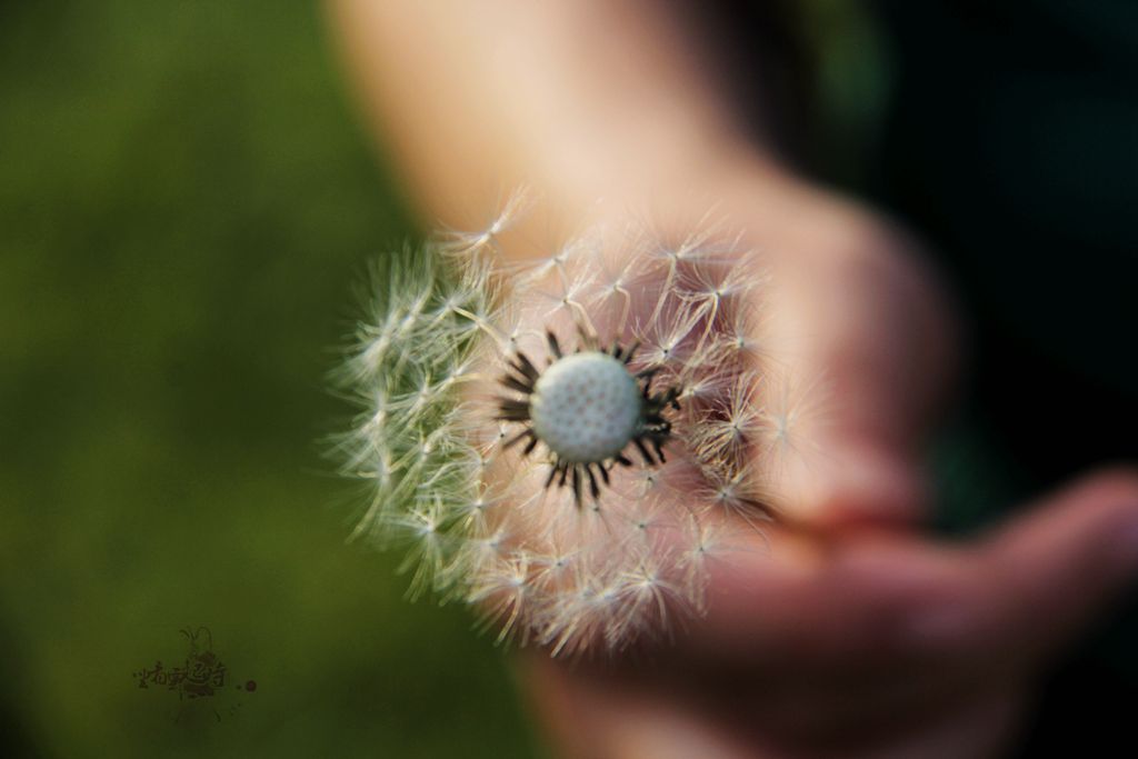 照片 蒲5副本.jpg