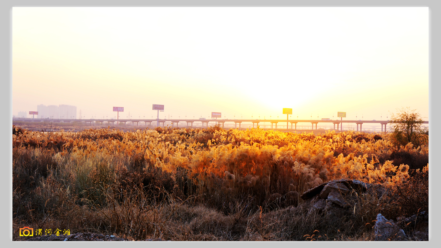 渭河金滩0003.jpg