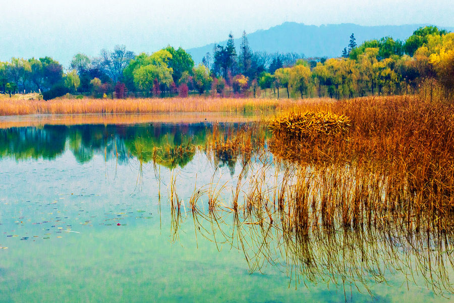 04.JPG