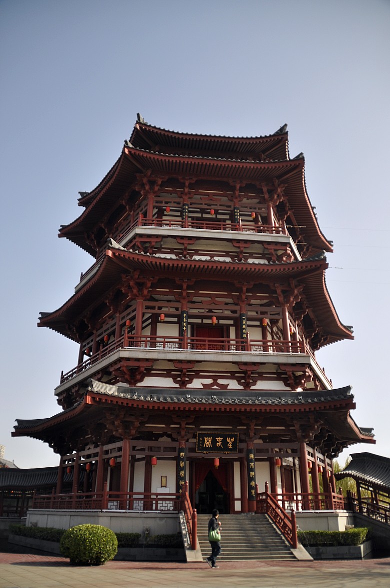 DSC_0041_conew1.jpg