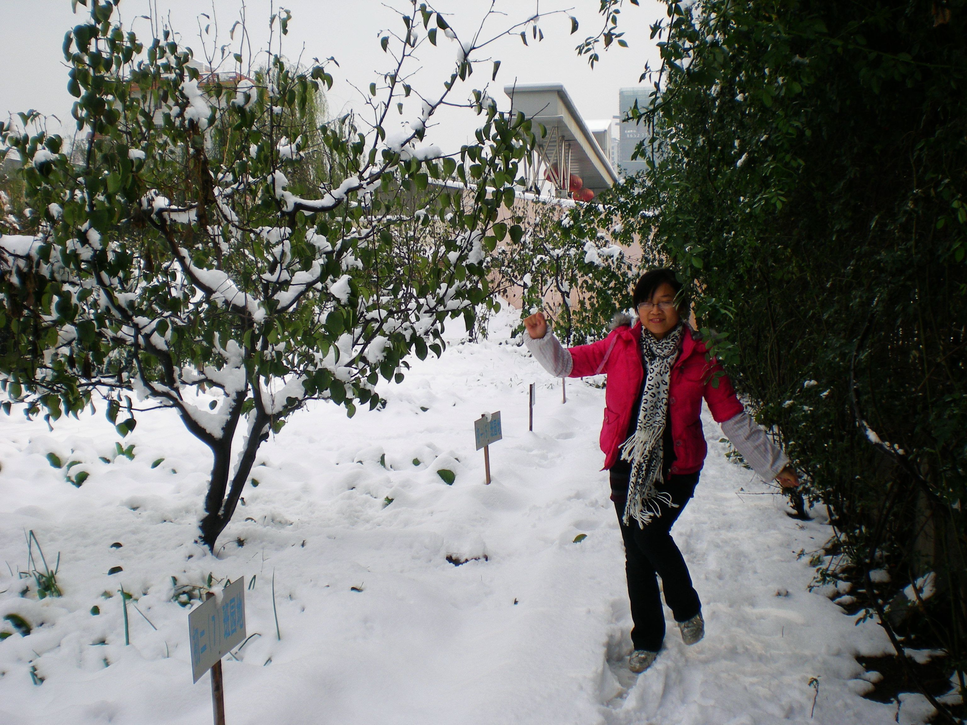 DSCN0571.JPG