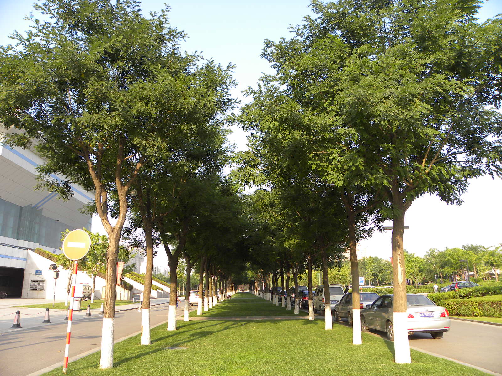 DSCN0933.JPG
