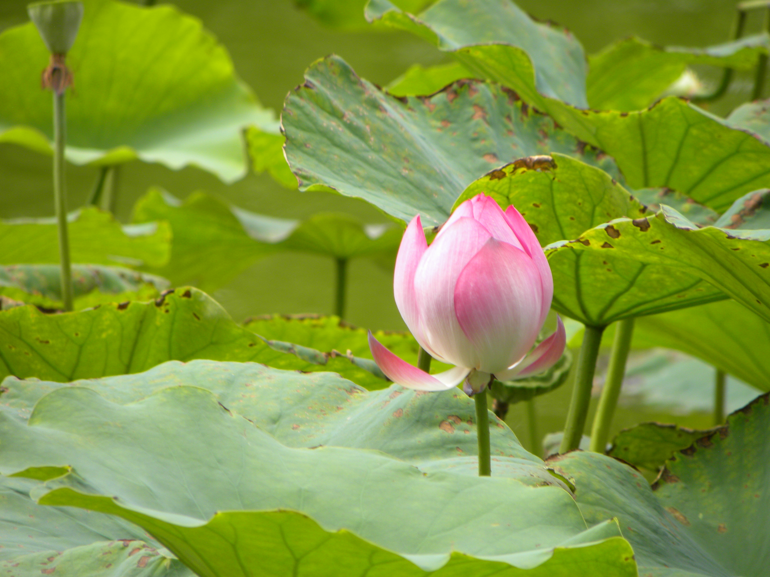 DSCN9021.JPG