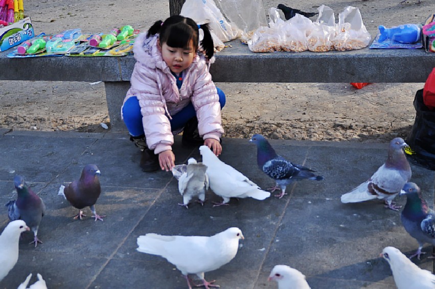 DSC_0037_conew1.jpg