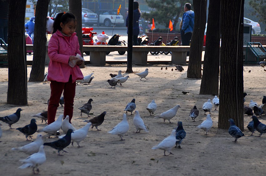 DSC_0035_conew1.jpg
