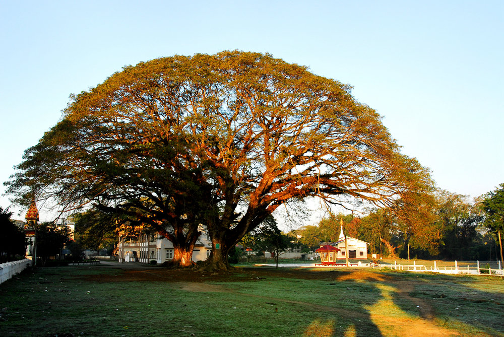 DSC_0105.JPG