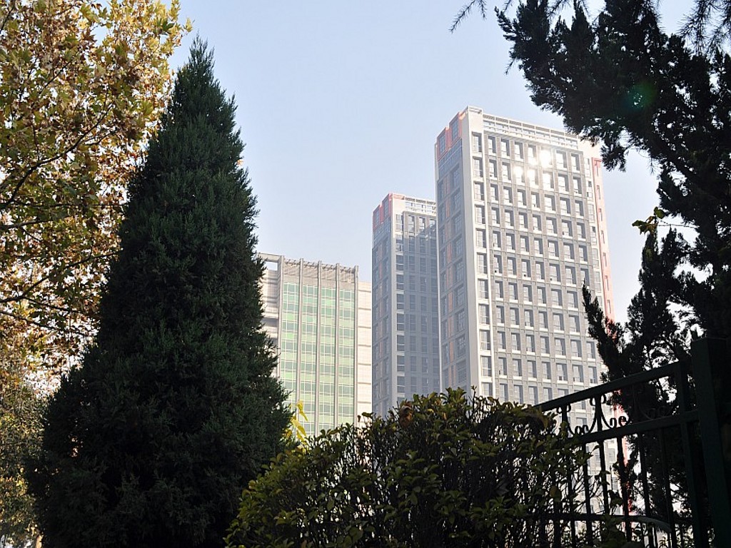 DSC_0041_conew2.jpg