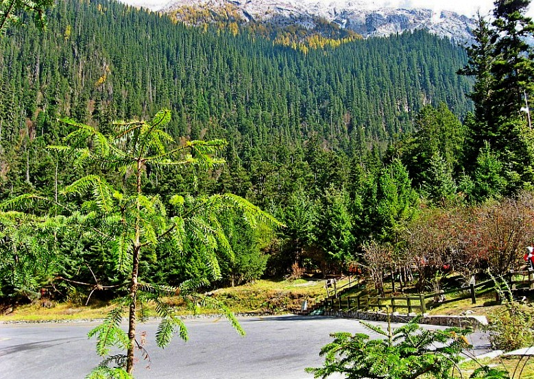 PD_西南之旅作品 084_conew2.jpg