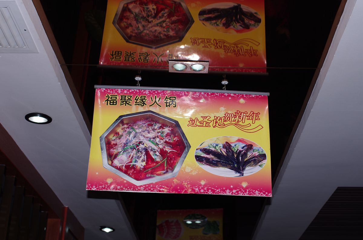 IMGP4408_副本.jpg