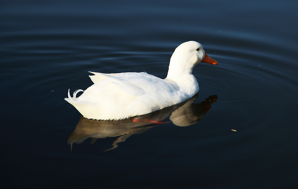 20131231 029.jpg