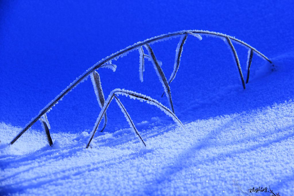 冰雪7.jpg