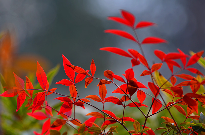 大慈恩寺公园人像习作 023_副本.jpg