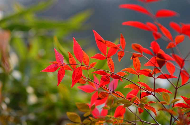 大慈恩寺公园人像习作 028_副本.jpg