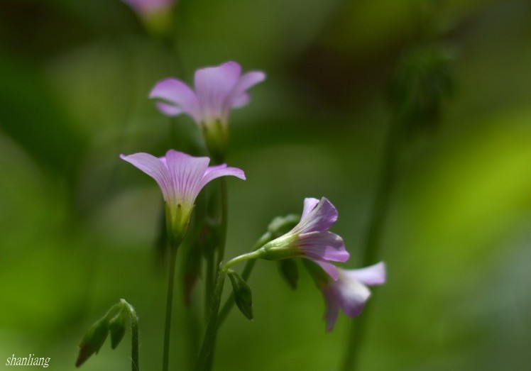 DSC_0580_conew2.jpg