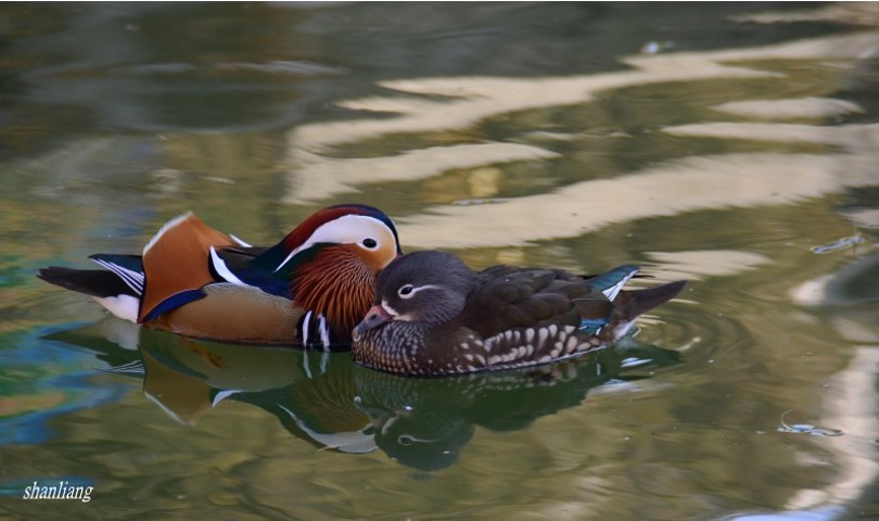 DSC_0075_conew2.jpg