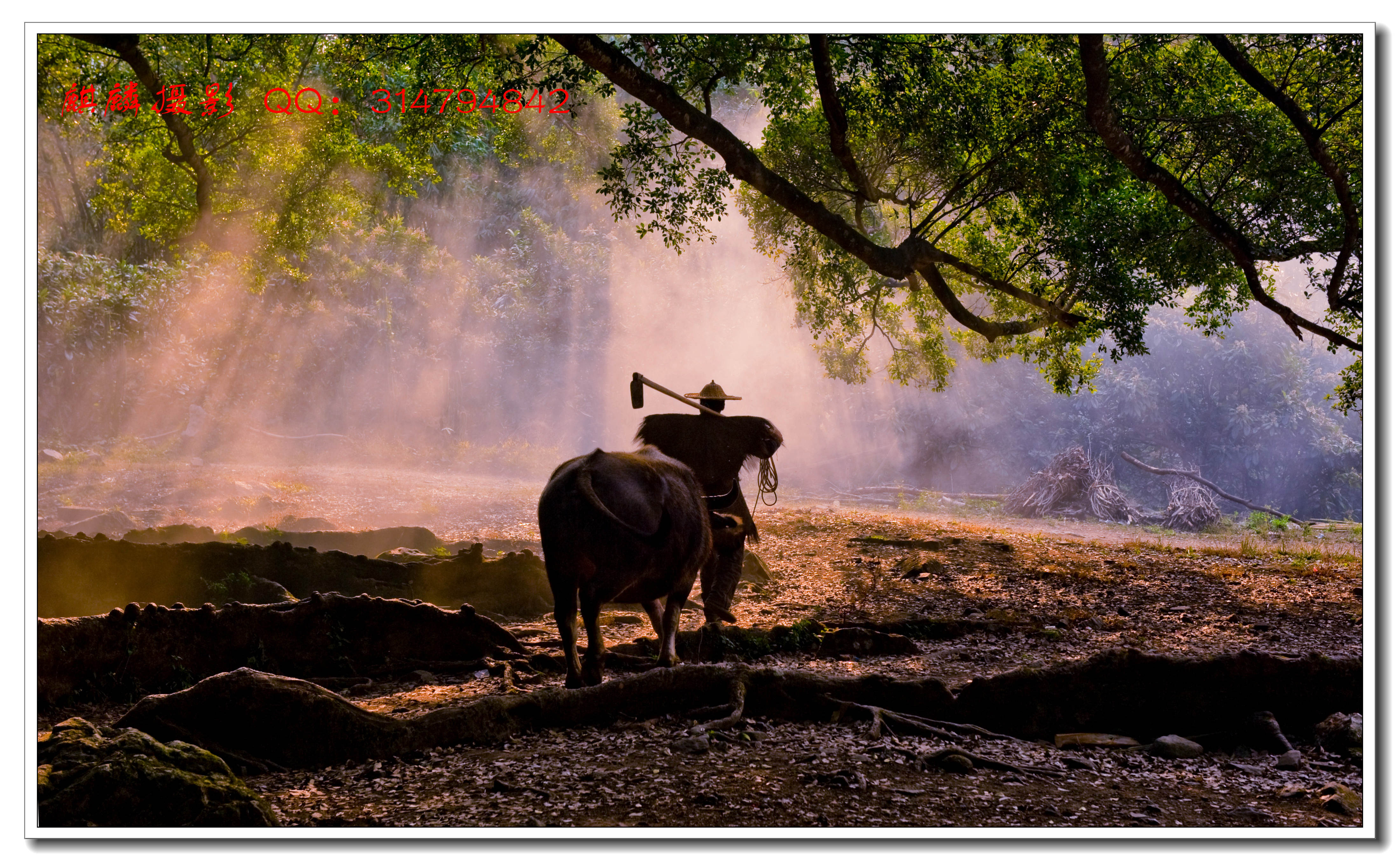 独行闽南 344_副本.jpg